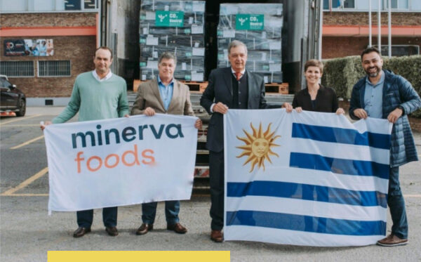 About Us-Minerva Foods SA