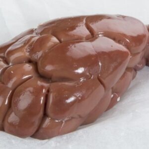Frozen Veal Kidney