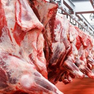 HALAL Fresh-Frozen Beef Whole Carcass