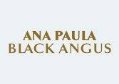 MNF_logo_ana_paula_black_angus_site_167px_119px-e1675192119366